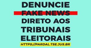 Read more about the article Denúncias sobre fake news podem ser enviadas diretamente aos Tribunais Eleitorais e ao MPF