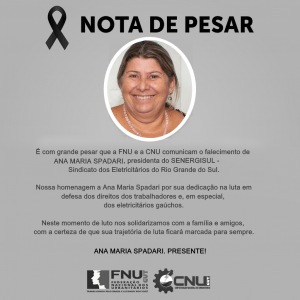 Read more about the article Nota de pesar pelo falecimento de Ana Maria Spadari